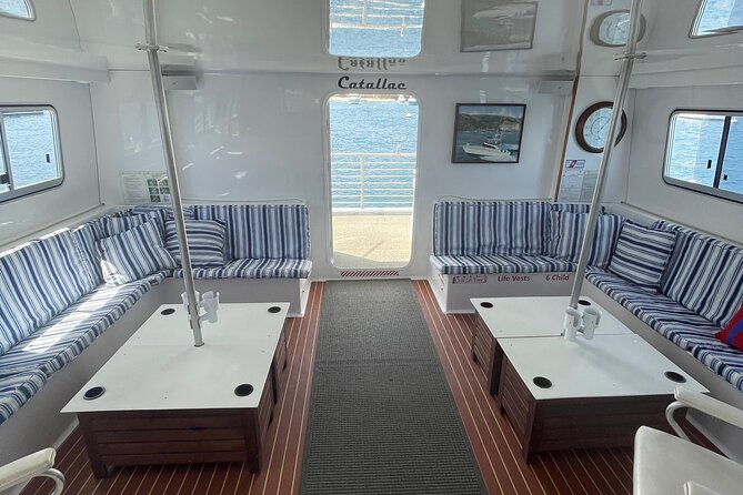 Luxury Whale Watching: Fewer People, Extra Speed, Expert Staff - Timing, weather, and the odds of a good outing