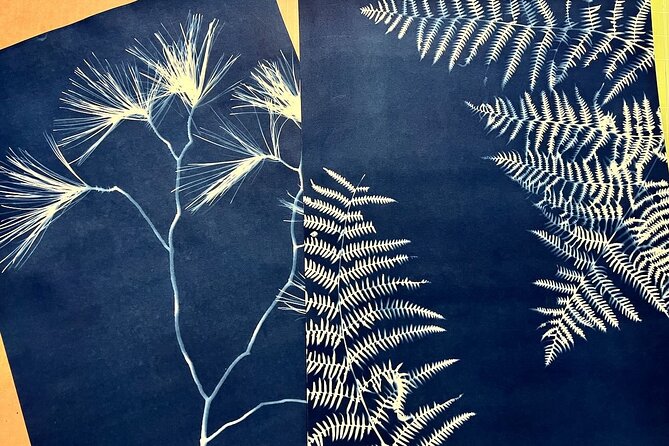 Make Sun Prints in the Desert - Using Personal Photos and Desert Objects