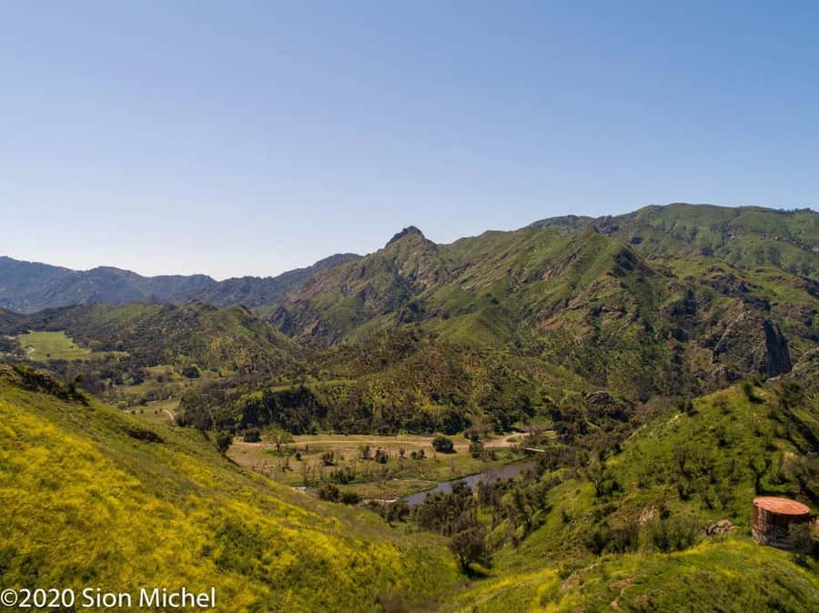 Malibu: Coastal Gems Scenic Driving Tour with Audio Guide - Hollywood, surfing, and Malibu’s local identity