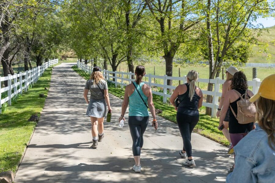 Malibu: Guided Vineyard Hike with Photo Stops and Wine - Booking advice and final verdict