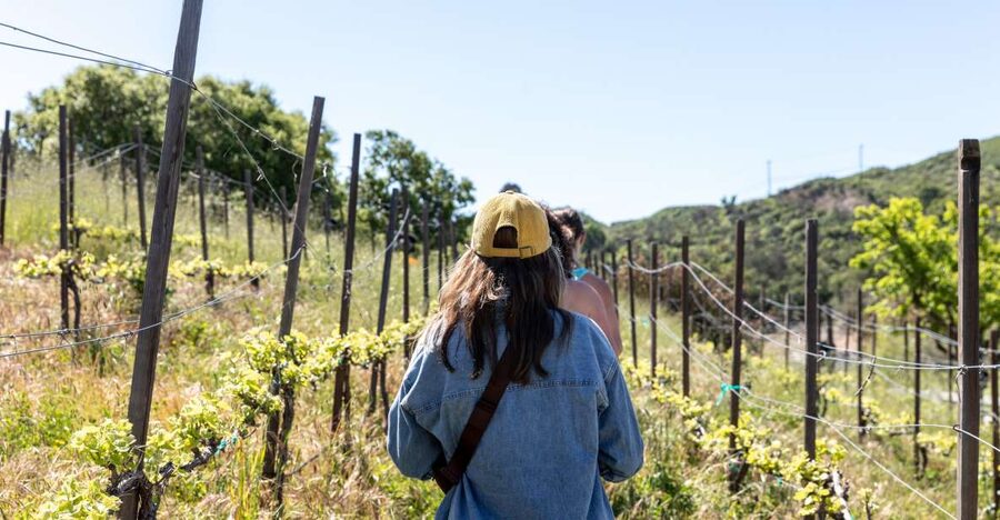 Malibu: Guided Vineyard Hike with Photo Stops and Wine - Entering the vineyard and learning the family story