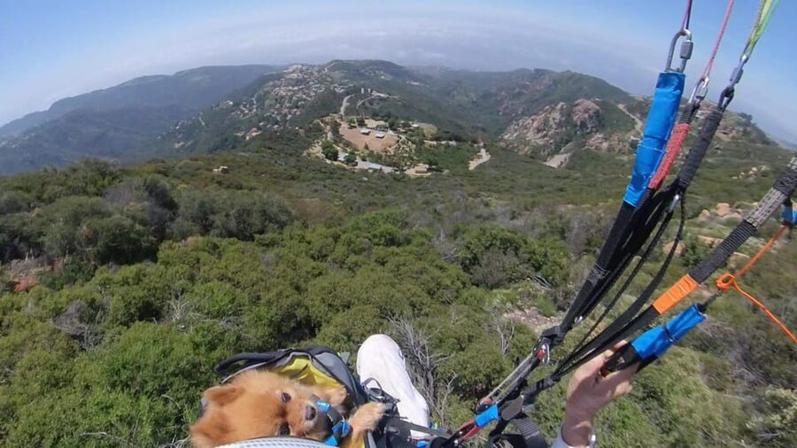 Malibu Hills to Beach: Tandem Paragliding Flight Adventure - Why the $250 price can make sense
