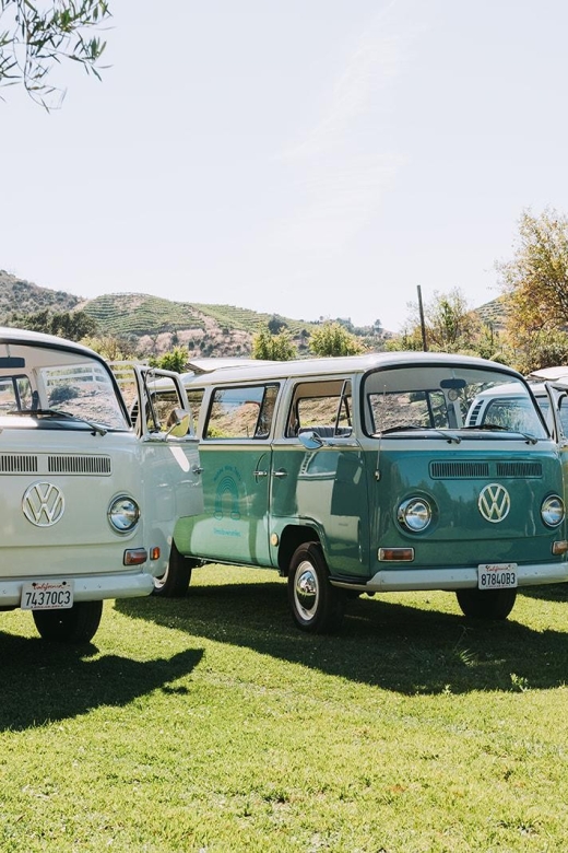 Malibu: Vintage VW Bus and Vineyard Tour - Who should book this Malibu tour?