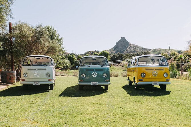 Malibu: Vintage VW Bus and Vineyard Tour - Local snacks add a useful break