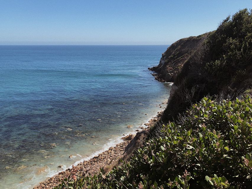 Malibu: Vintage VW Sightseeing Tour and Wine Tasting - How Much Value Do You Get for $195?
