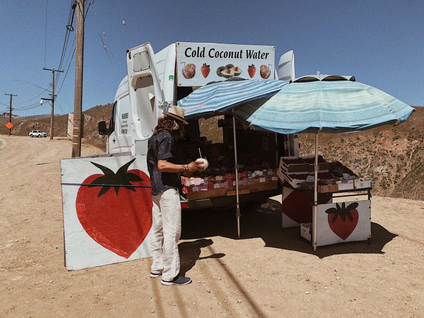 Malibu: Vintage VW Sightseeing Tour and Wine Tasting - Who Should Book This Malibu Outing?