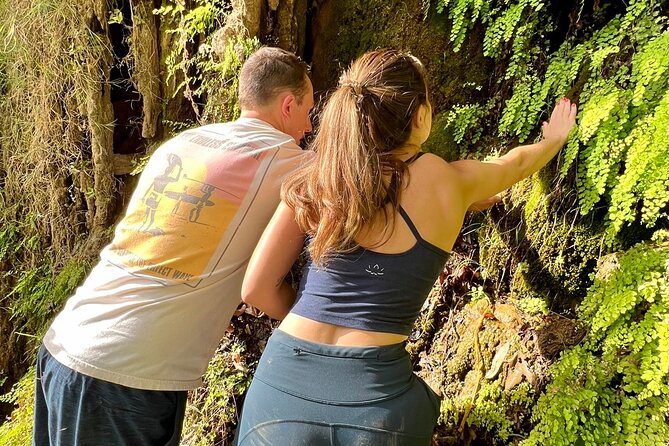 Malibu Waterfall eMTB & Hiking Adventure (Beginner) - What this Malibu eMTB tour really is