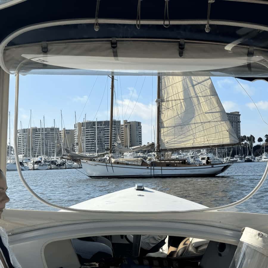 Marina del Rey: 1-Hour Boat Tour - What this Marina del Rey cruise is really like