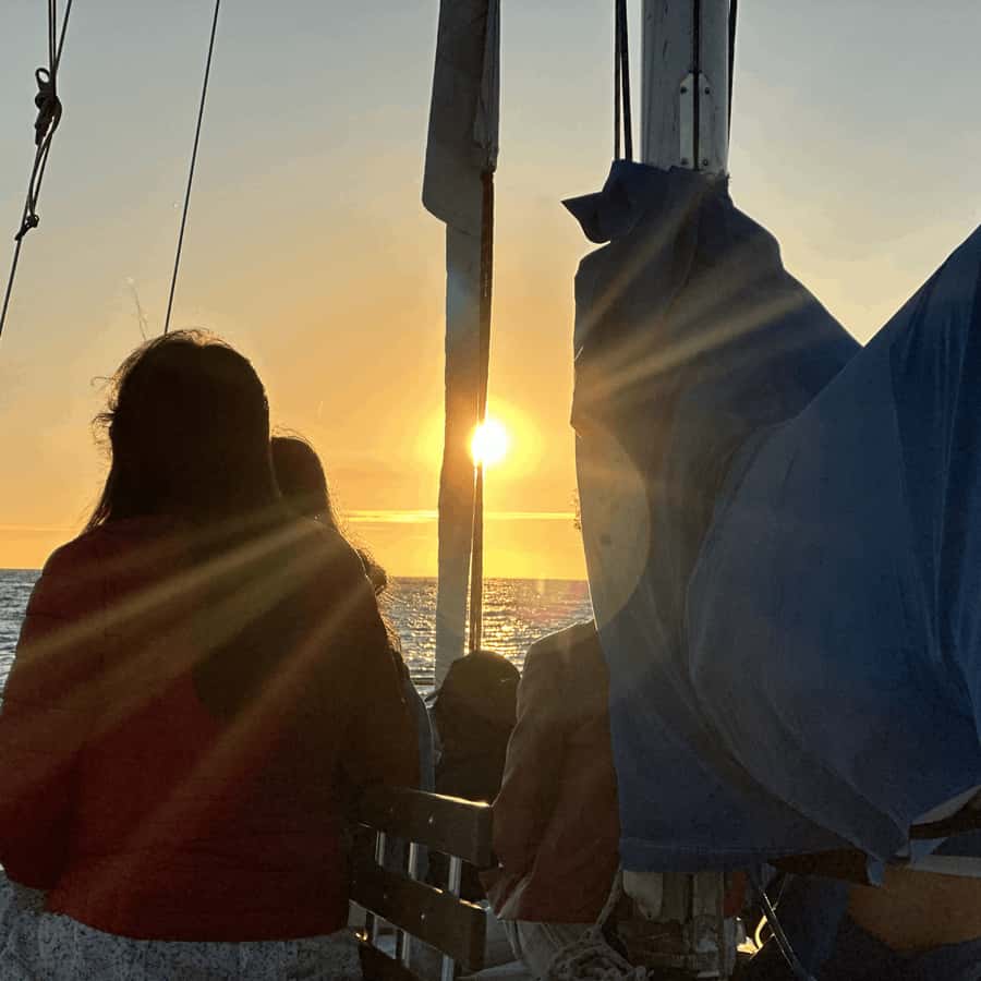 Marina del Rey: 1-Hour Boat Tour - One hour among yachts, houseboats, and paddleboarders