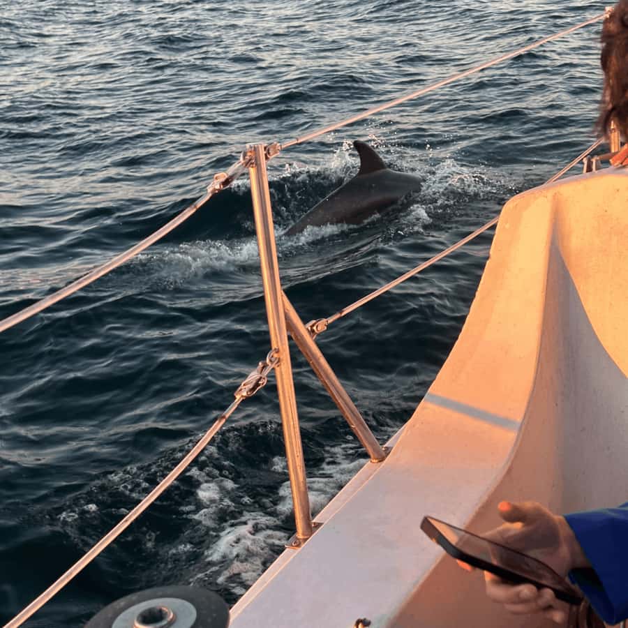 Marina del Rey: 1-Hour Boat Tour - Reaching the mouth of the ocean