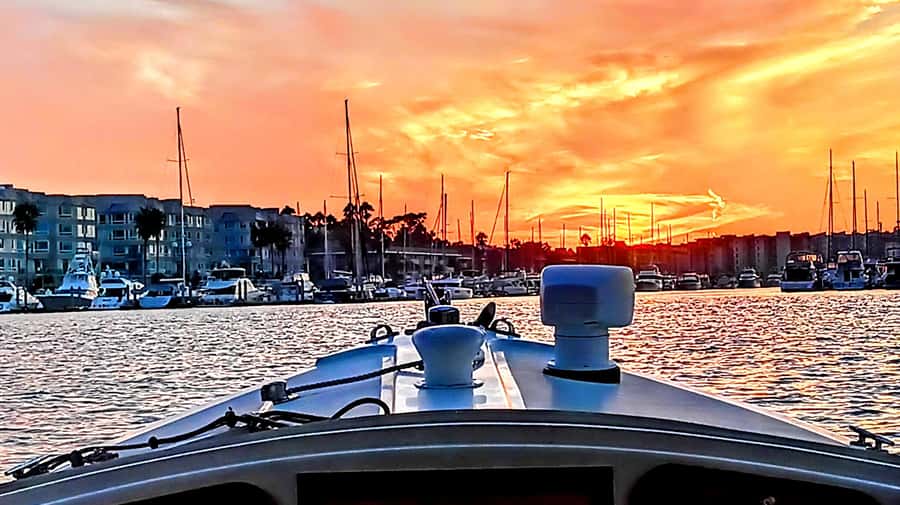 Marina Del Rey Luxury Boat Cruise Wine, Charcuterie Sealions - A gentle cruise through Marina del Rey