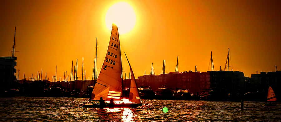 Marina Del Rey Luxury Boat Cruise Wine, Charcuterie Sealions - Wine, cheese, and the food options