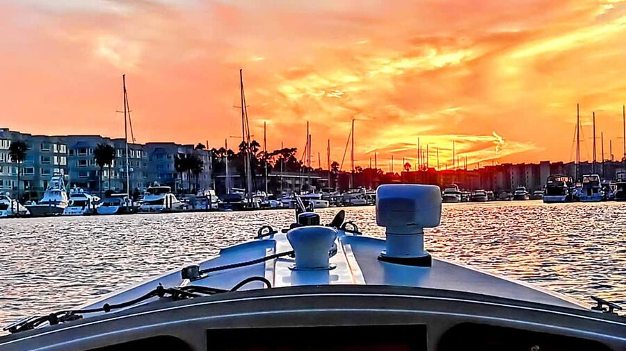 Marina Del Rey: Romantic Cruise, Wine, Cheese, Sealions - Wine, charcuterie, and optional dinner