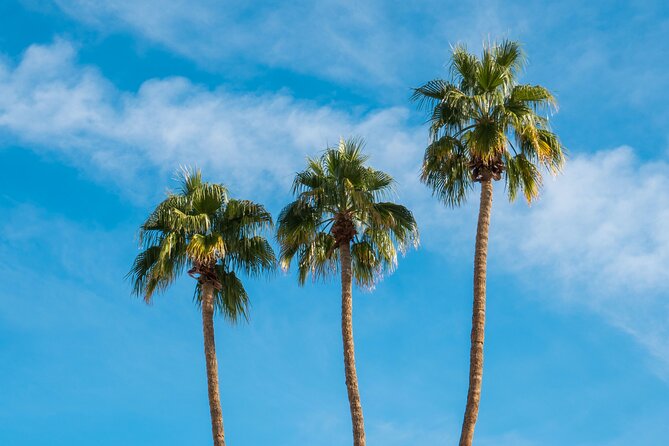 Mods & Icons Tour of Palm Springs - The aerial tramway and San Andreas Fault