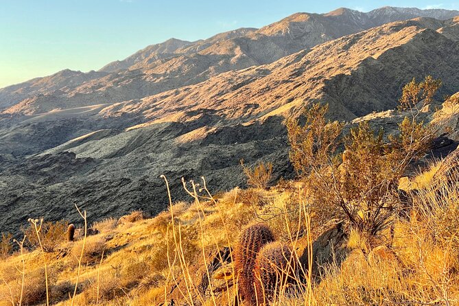 Mountain Sunrise Hike and Meditation in Palm Springs - Key points to know before you book
