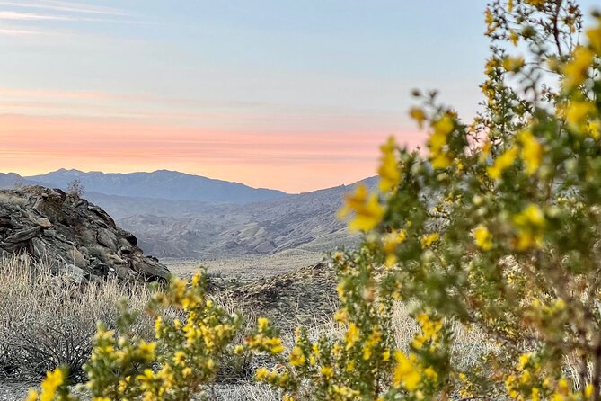 Mountain Sunrise Hike and Meditation in Palm Springs - Timothy’s style and the small-group setting
