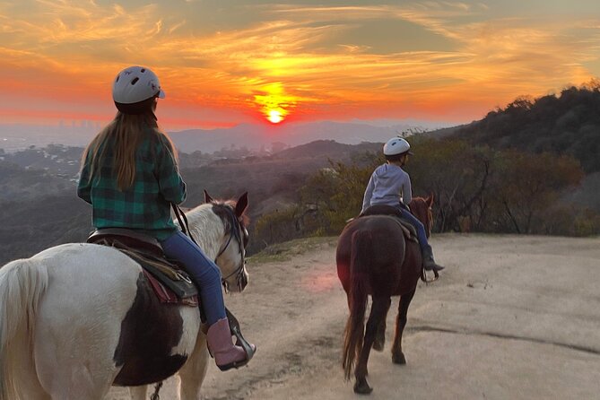 Mulholland Trail Horseback Tour - At the ranch, the horses are part of the experience