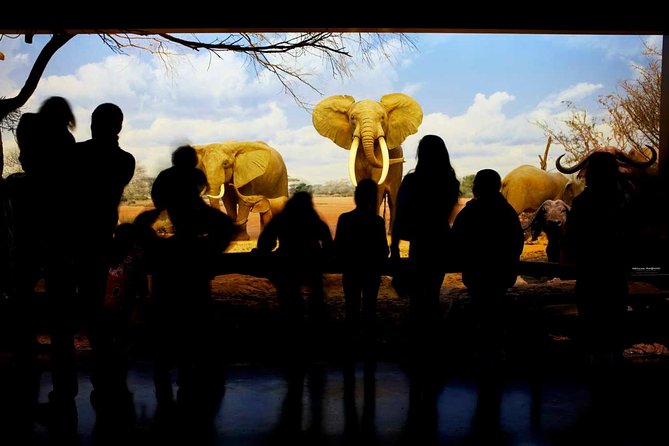 Natural History Museum of Los Angeles County Admission - Becoming Los Angeles, from pueblo to metropolis