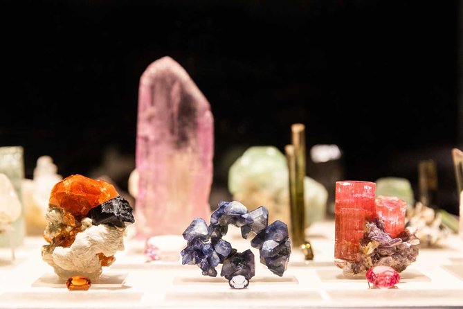 Natural History Museum of Los Angeles County Admission - Nature Lab and Nature Gardens bring the subject closer