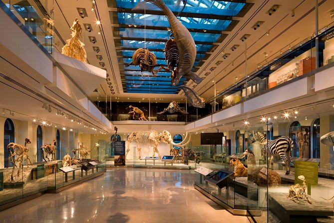 Natural History Museum of Los Angeles County Admission - How long to stay and how to plan the visit