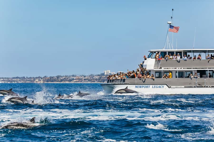 Newport Beach: 2-Hour Whale Watching Tour - Leaving Newport Harbor for open water