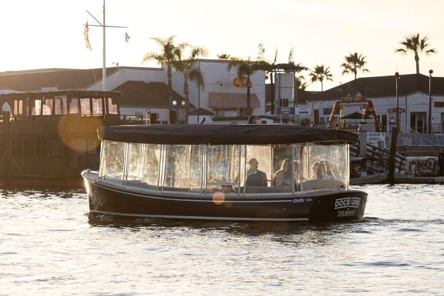 Newport Beach: Electric Boat Rental - Keeping watch for Newport’s sea lions