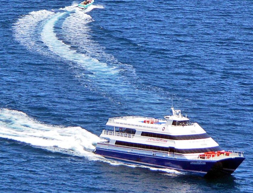 Newport Beach: Ferry Ticket to/from Catalina Island - Returning from Catalina Island to Newport Beach