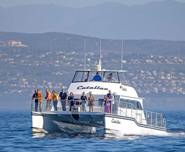 Newport Beach: Luxury Whale Watching Catamaran Cruise - Corona del Mar and the safety briefing