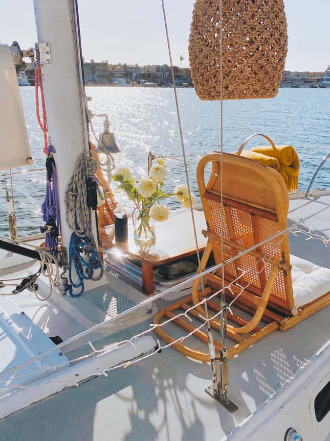 Newport Beach: The Boat People Cruise-Private Harbor Cruises - What the 90-minute route feels like