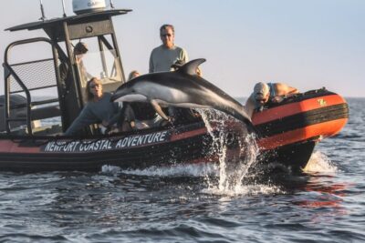 Ultimate Whale Watching Adventure