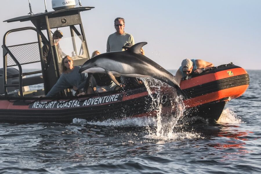 Newport Beach: Ultimate Whale Watching Adventure - Leaving Newport Harbor for the open water