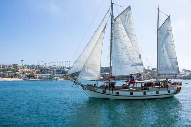 Newport Beach Whale and Dolphin Watching Cruise - Key points to know before you book