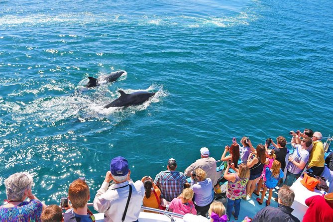 Newport Beach: Whale and Dolphin-Watching Cruise - Setting out from Balboa Pavilion