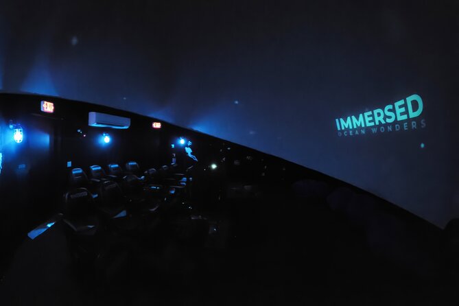Ocean Wonders: An Immersive Ocean Movie Experience - The Best Time to Fit It Into Your Day