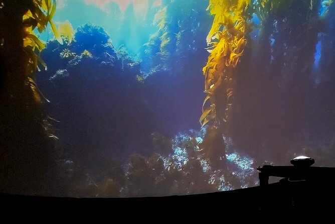 Ocean Wonders: An Immersive Ocean Movie Experience - Who Will Enjoy This Most