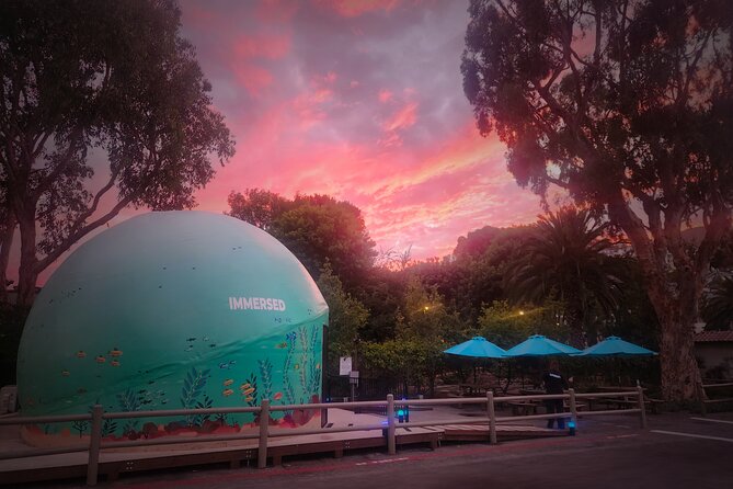Ocean Wonders: An Immersive Ocean Movie Experience - Practical Details Before You Go