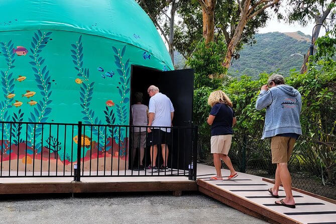 Ocean Wonders: An Immersive Ocean Movie Experience - My Call: Book It for the Format, Not for Catalina Wildlife