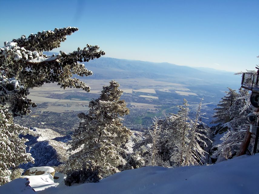 Palm Springs: Aerial Tramway Round-Trip Ticket - Key points to know before you ride