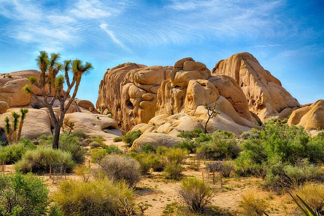 Palm Springs and Joshua Tree Self-Guided Driving Audio Tours - What This Palm Springs and Joshua Tree Tour Really Is