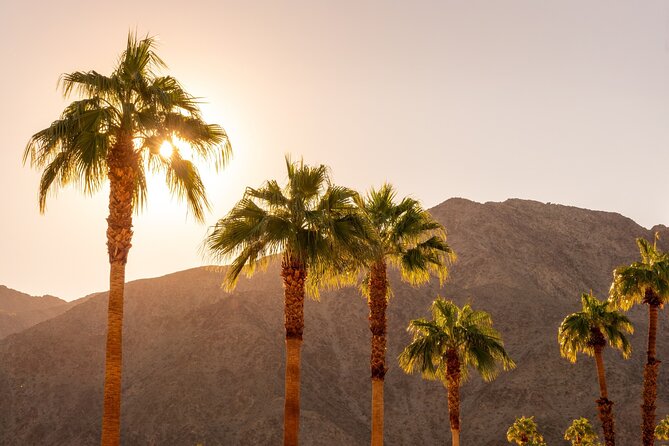 Palm Springs and Joshua Tree Self-Guided Driving Audio Tours - Quirky Art, Public Stars, and the Airport