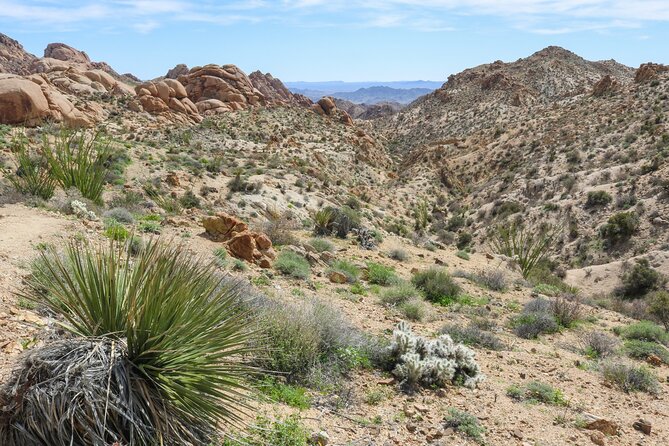 Palm Springs and Joshua Tree Self-Guided Driving Audio Tours - Desert Memorial Park and the Stories Behind the Names