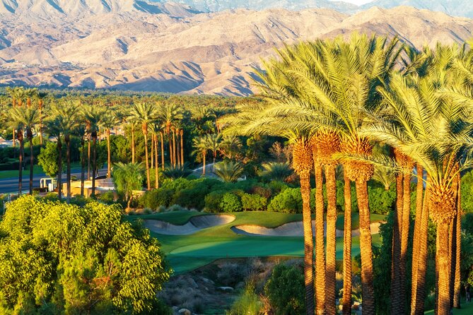 Palm Springs and Joshua Tree Self-Guided Driving Audio Tours - The Best Short Walks in Joshua Tree