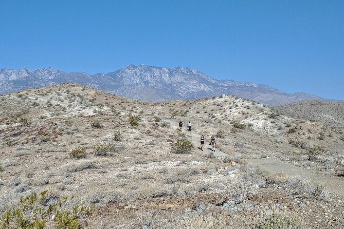 Palm Springs Hike to an Oasis and Amazing Desert Views - A Quiet Start Near Palm Springs