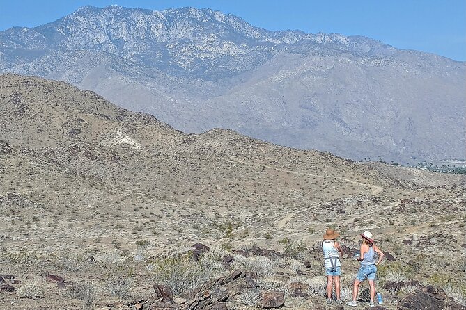 Palm Springs Hike to an Oasis and Amazing Desert Views - Learning the Desert Through Its Plants