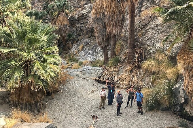 Palm Springs Hike to an Oasis and Amazing Desert Views - What Carlos Adds to the Experience