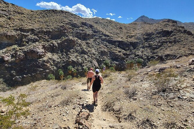 Palm Springs Hike to an Oasis and Amazing Desert Views - Price, Group Size, and What You Receive