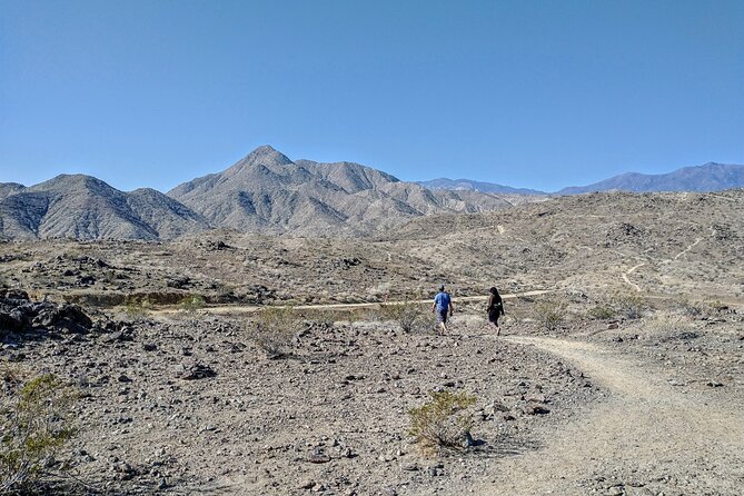 Palm Springs Hike to an Oasis and Amazing Desert Views - Climbing for Coachella Valley Views