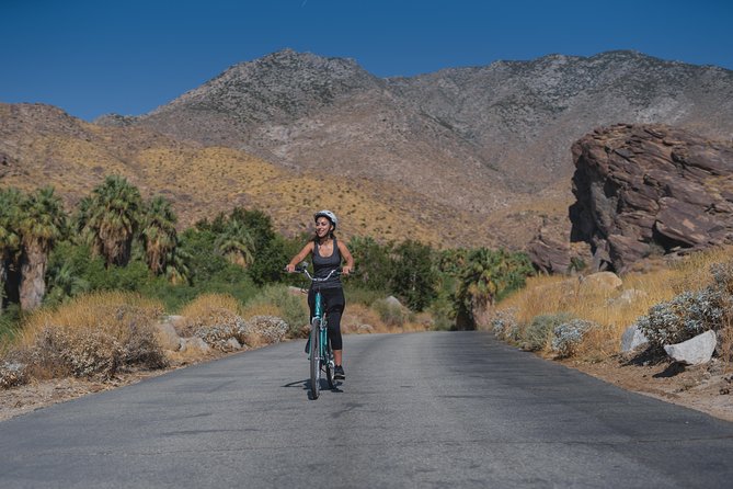 Palm Springs Indian Canyons Bike and Hike - What the nature walk is really like