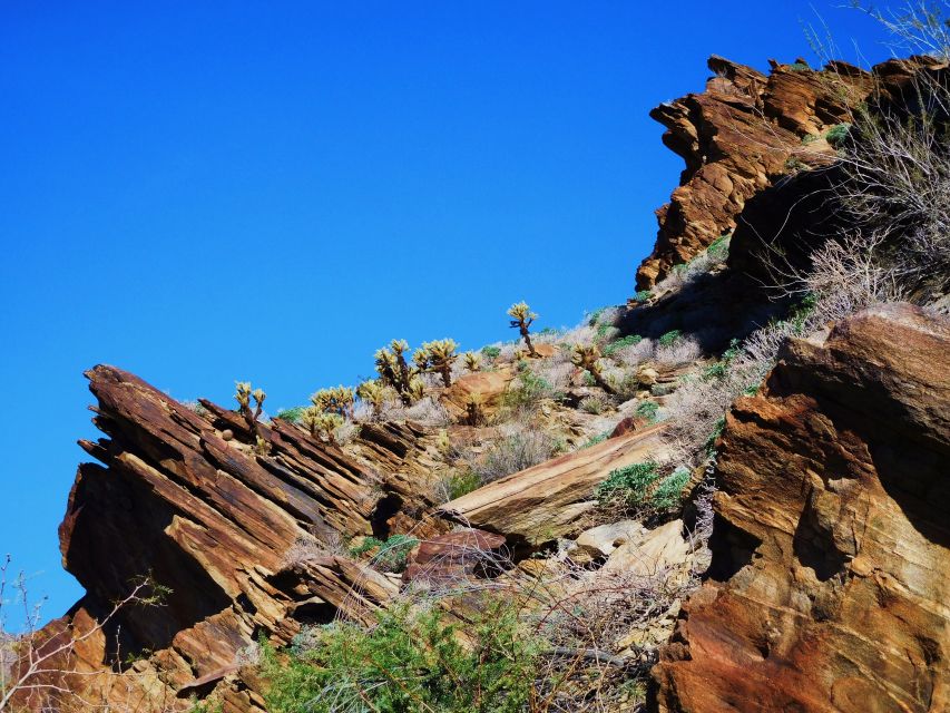 Palm Springs: Indian Canyons Jeep/Hiking Combo Tour - Practical advice for a better outing
