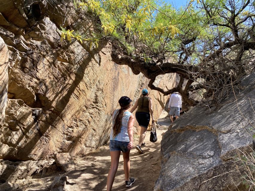 Palm Springs: Indian Canyons Jeep/Hiking Combo Tour - Why Indian Canyons feels so different from Palm Springs